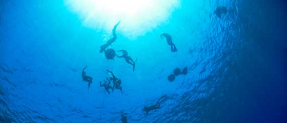 Freediving in Dahab