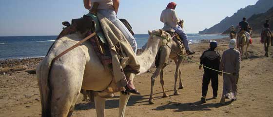 Tour Leading in Egypt