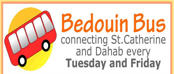 Explore Sinai with Bedouin Bus