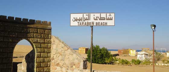 Getting to Nuweiba | Welcome to Taraben Beach!
