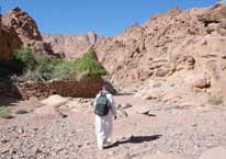 Hiking in Egypt