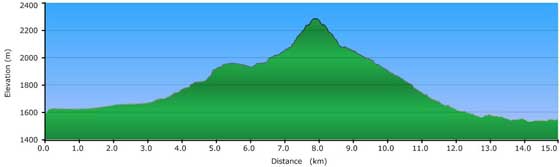 Mount Sinai GPS Download - Trek Profile
