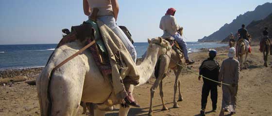 Backpacking in Egypt